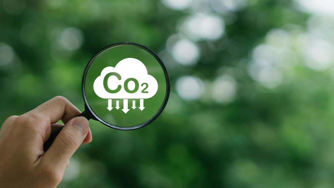 Ilustración de una lupa enfocando un icono de CO₂ sobre un fondo natural, simbolizando la reducción de la huella de carbono