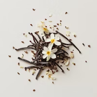 Vanilla flavor